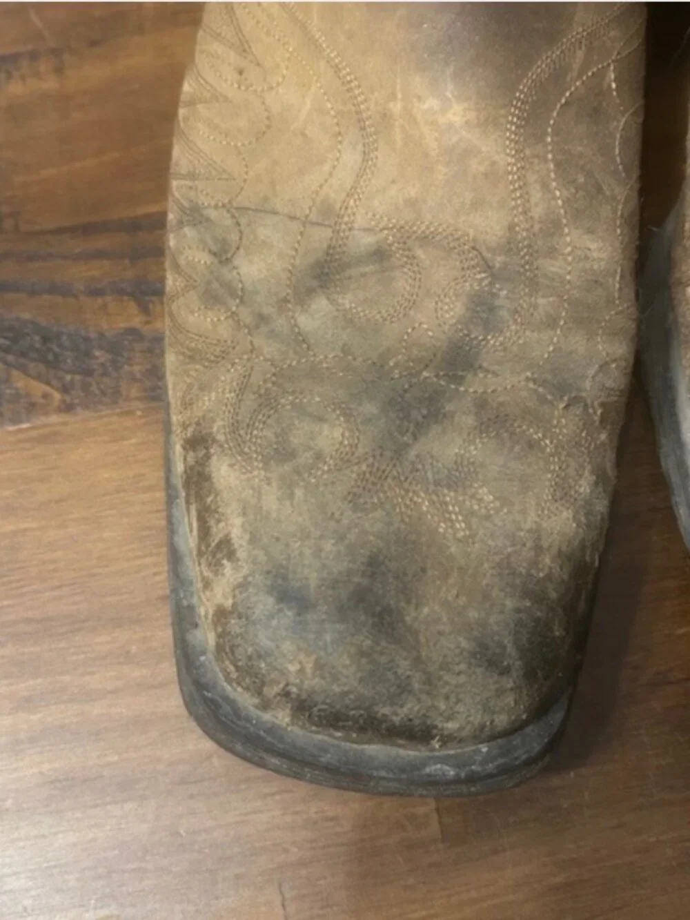 Ariat Rambler Phoenix 11